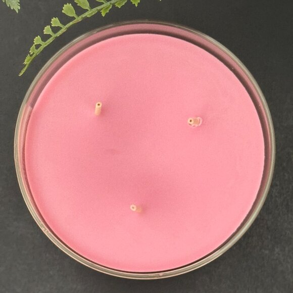 BBW Black Cherry Merlot Bath & Body Works 3 Wick Candle - Picture 7 of 10